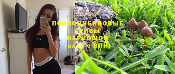 2c-b Елизово