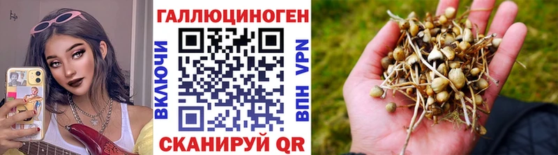 Псилоцибиновые грибы Cubensis где купить наркотик Пласт
