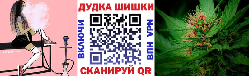 Марихуана сатива mega tor Пласт